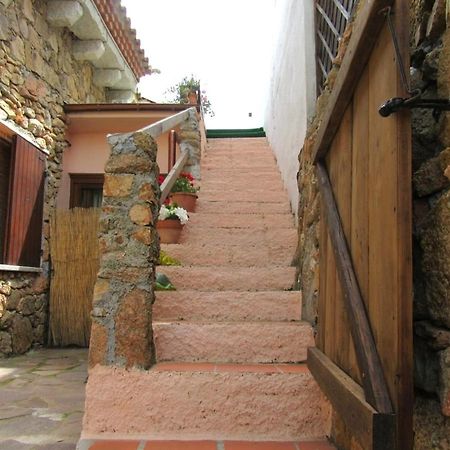 Bellissimo Appartamento A 250Metri Dal Mare. Olbia Exterior photo
